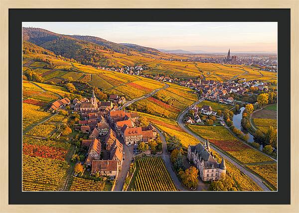 Alsace Wine Route In Autumn