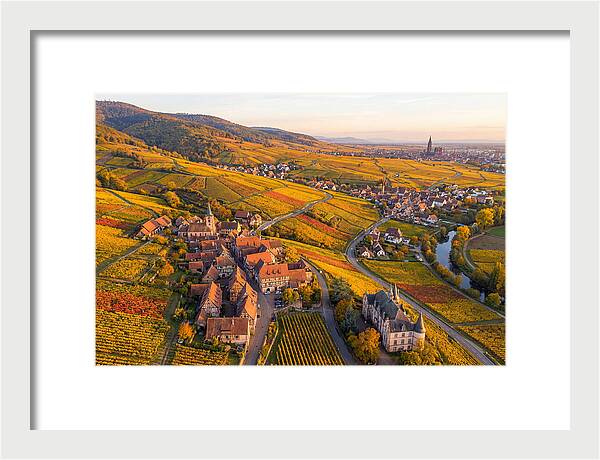 Alsace Wine Route In Autumn