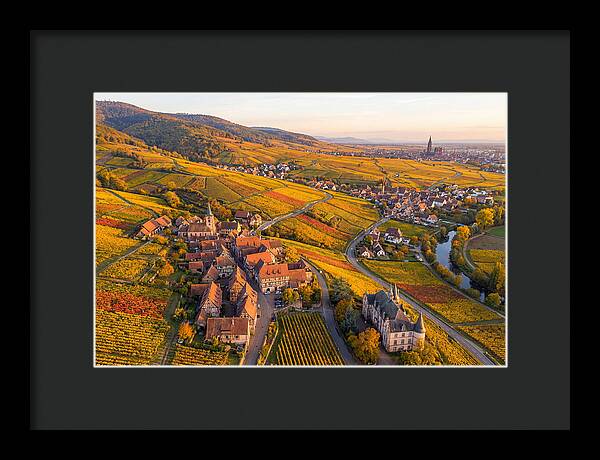 Alsace Wine Route In Autumn