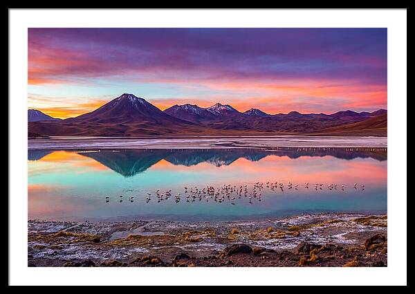 Altiplano Serenity At Dawn