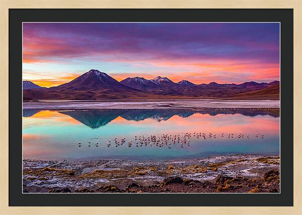 Altiplano Serenity At Dawn