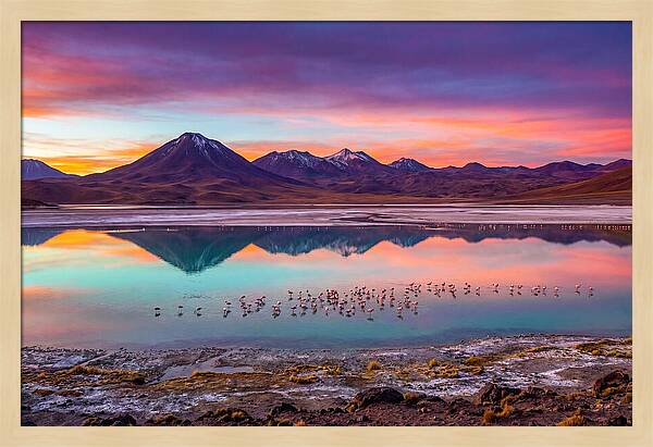 Altiplano Serenity At Dawn