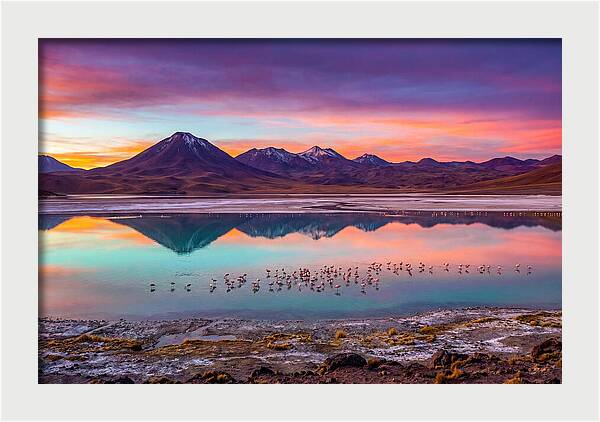 Altiplano Serenity At Dawn