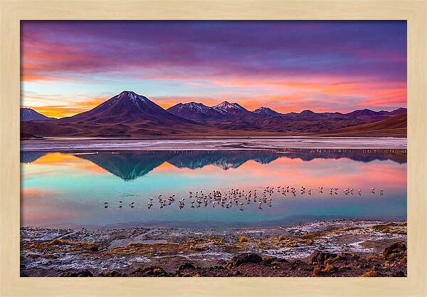 Altiplano Serenity At Dawn