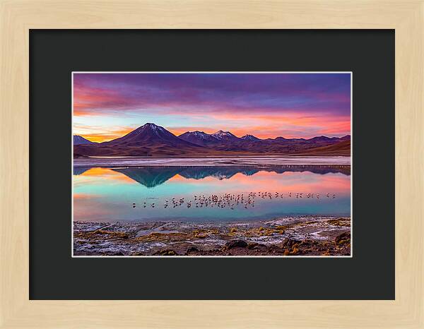 Altiplano Serenity At Dawn