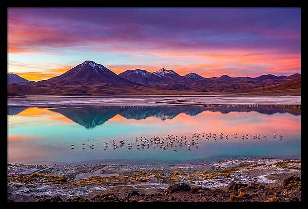 Altiplano Serenity At Dawn