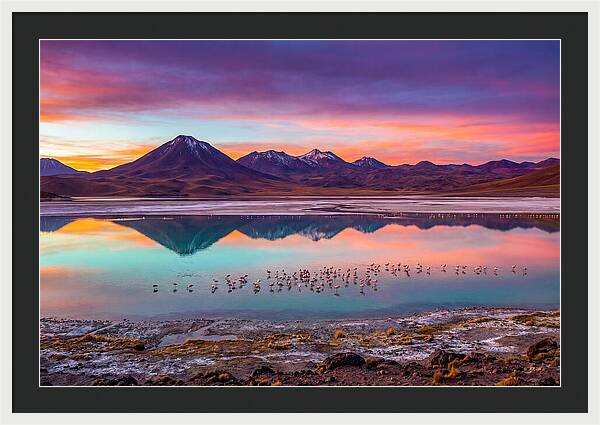 Altiplano Serenity At Dawn