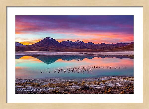 Altiplano Serenity At Dawn