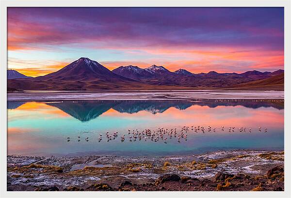 Altiplano Serenity At Dawn