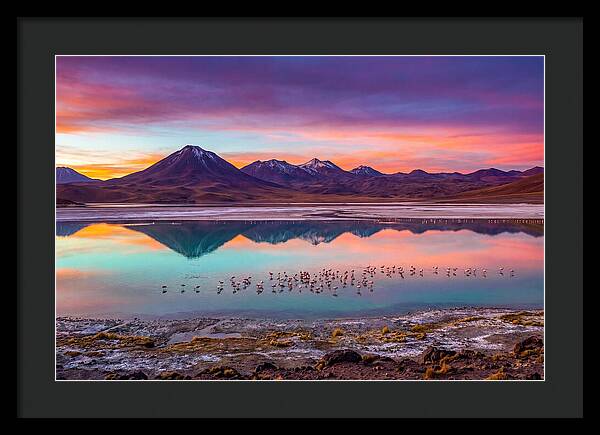 Altiplano Serenity At Dawn