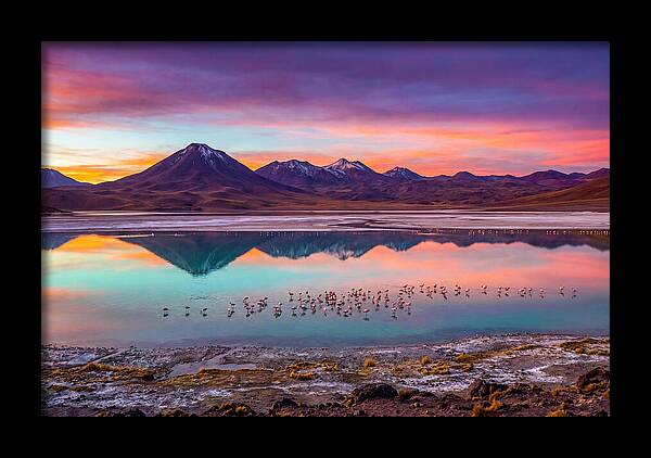 Altiplano Serenity At Dawn