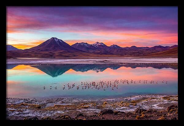 Altiplano Serenity At Dawn