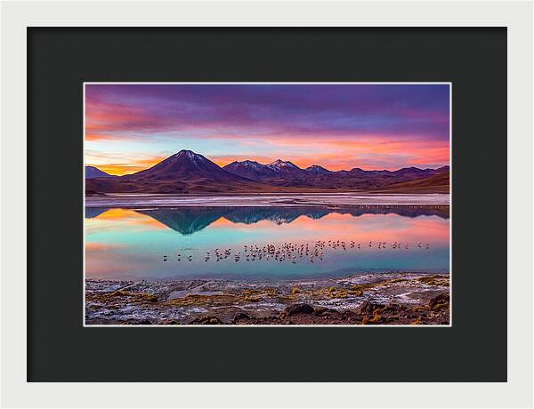 Altiplano Serenity At Dawn