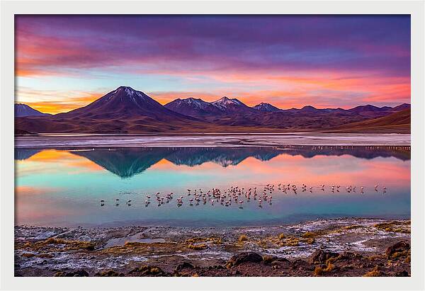 Altiplano Serenity At Dawn