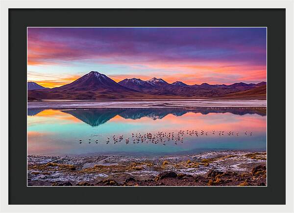 Altiplano Serenity At Dawn