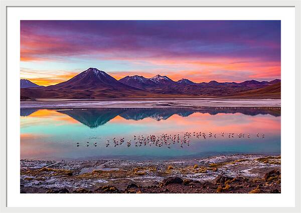 Altiplano Serenity At Dawn