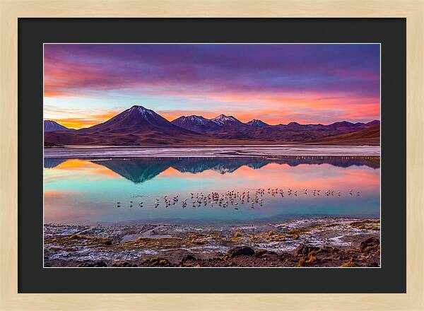 Altiplano Serenity At Dawn