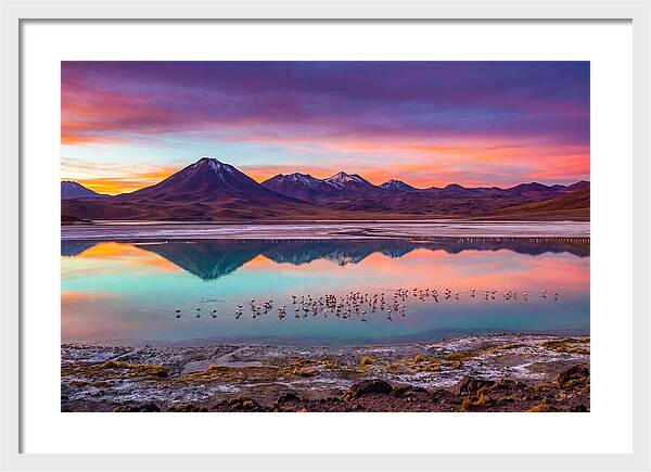 Altiplano Serenity At Dawn