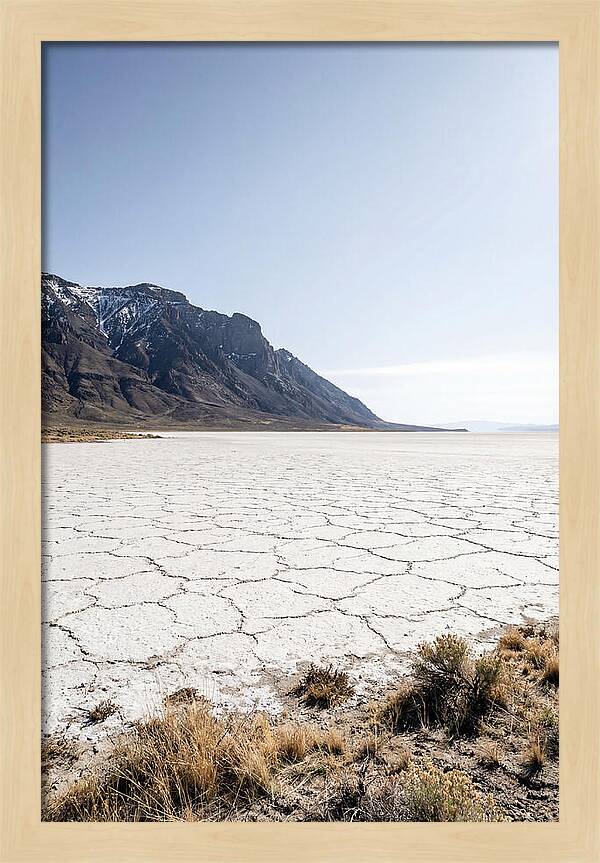 Alvord Desert Serenity