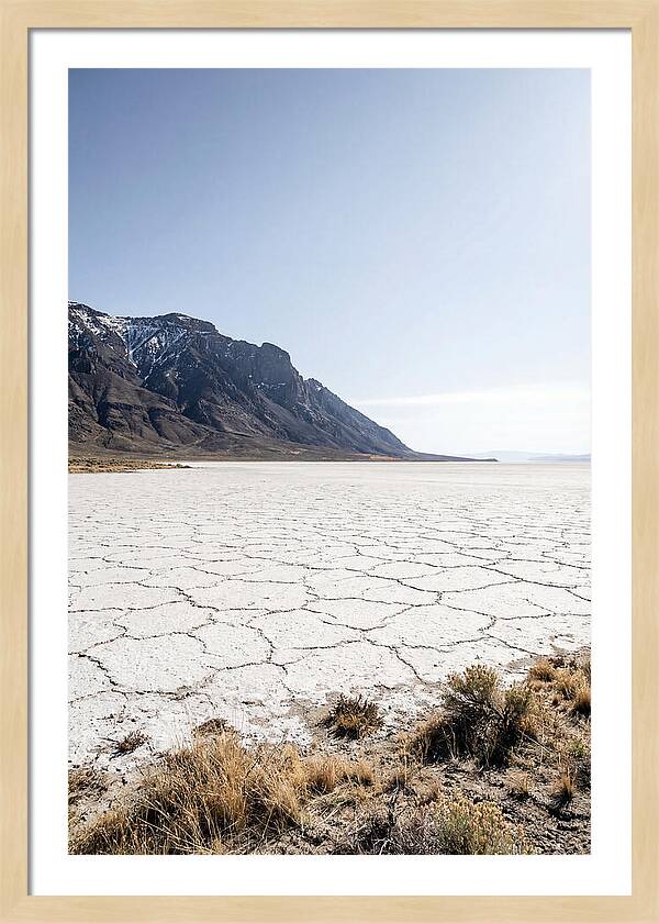 Alvord Desert Serenity