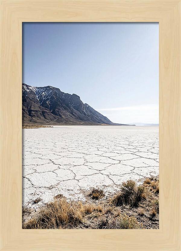 Alvord Desert Serenity