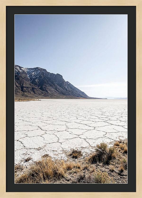 Alvord Desert Serenity