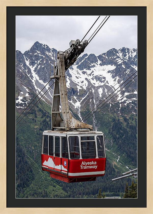 Alyeska Tramway Adventure