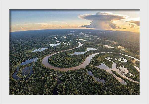 Amazon River Basin Serenity