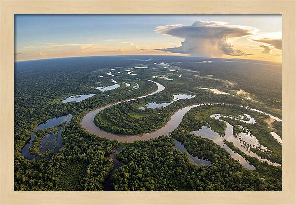 Amazon River Basin Serenity