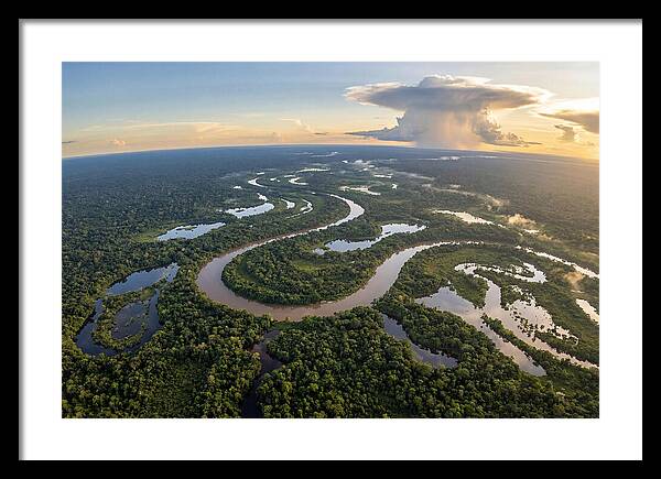 Amazon River Basin Serenity