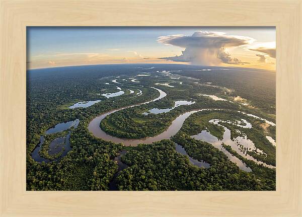 Amazon River Basin Serenity