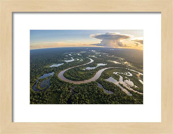 Amazon River Basin Serenity