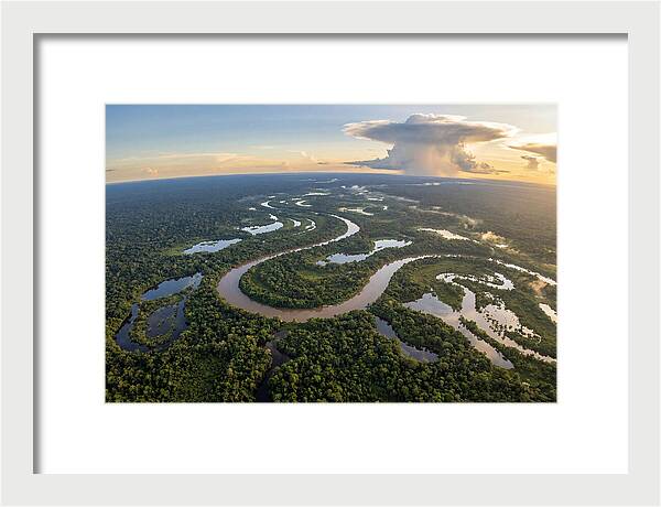 Amazon River Basin Serenity
