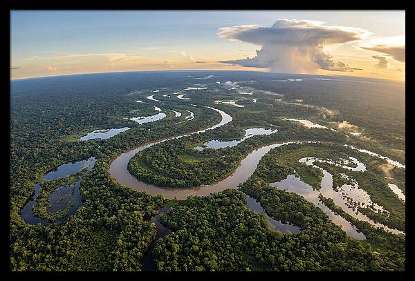 Amazon River Basin Serenity