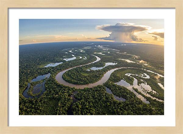 Amazon River Basin Serenity