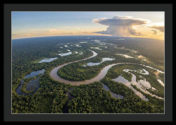 Amazon River Basin Serenity