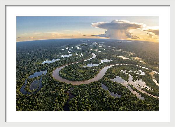 Amazon River Basin Serenity