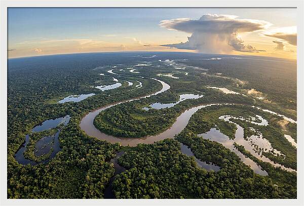 Amazon River Basin Serenity