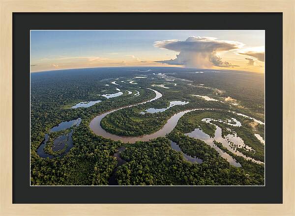 Amazon River Basin Serenity