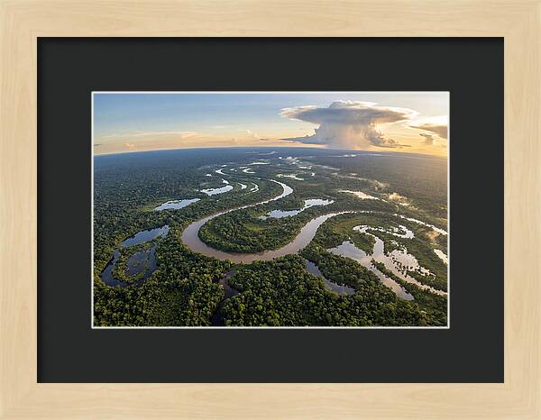 Amazon River Basin Serenity