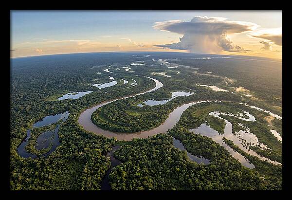 Amazon River Basin Serenity