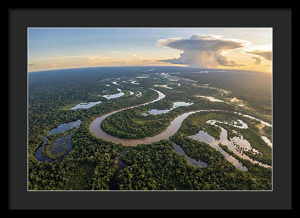 Amazon River Basin Serenity