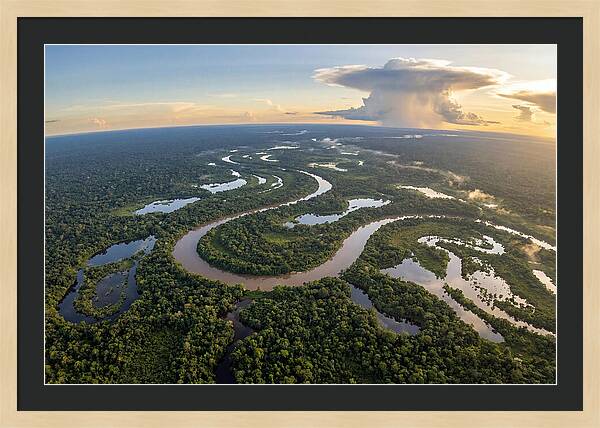 Amazon River Basin Serenity