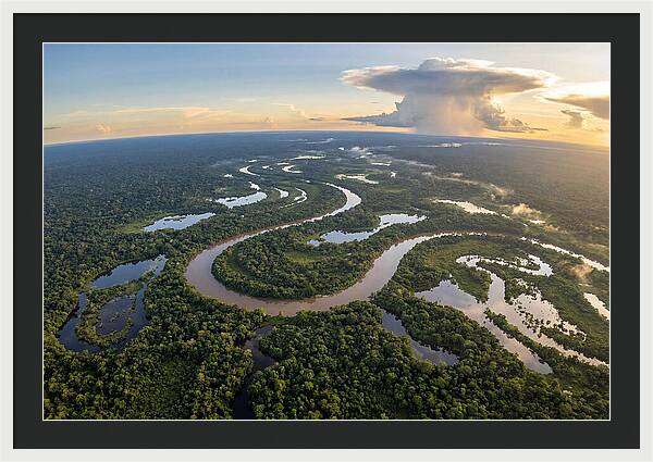 Amazon River Basin Serenity
