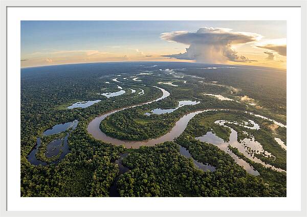 Amazon River Basin Serenity