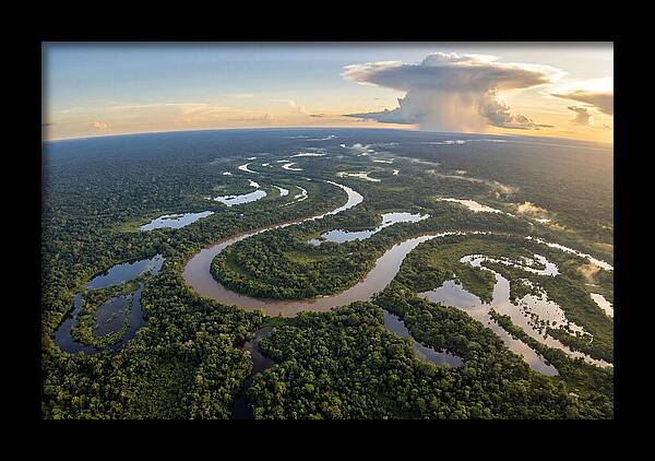 Amazon River Basin Serenity