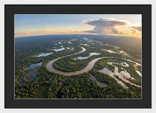 Amazon River Basin Serenity