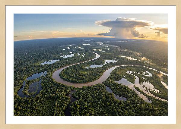 Amazon River Basin Serenity