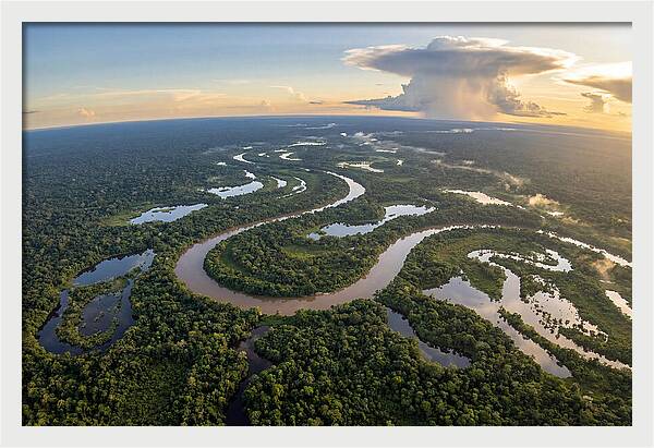 Amazon River Basin Serenity