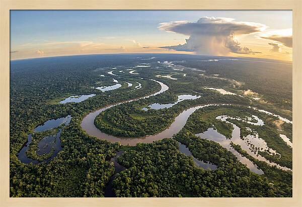 Amazon River Basin Serenity